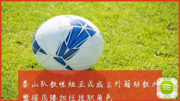 泰山队教练组正式成立外籍助教加盟宿茂臻担任挂职角色